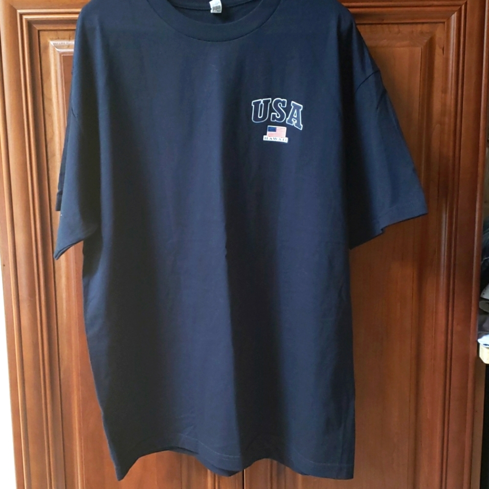 Alstyle classic T-shirt